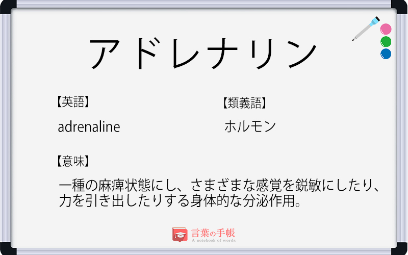 アドレナリン の使い方や意味 例文や類義語を徹底解説 言葉の手帳 様々なジャンルの言葉や用語の意味や使い方 類義語や例文まで徹底解説します